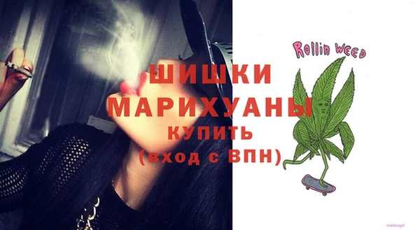 стаф Новокубанск