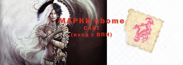 стаф Новокубанск