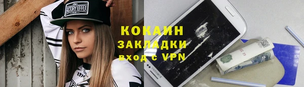 стаф Новокубанск