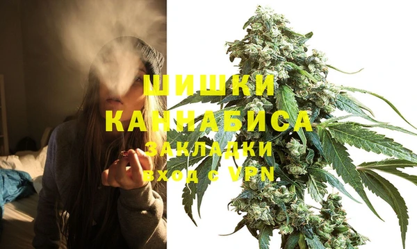 стаф Новокубанск