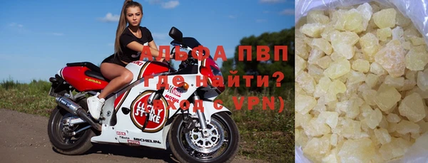 стаф Новокубанск