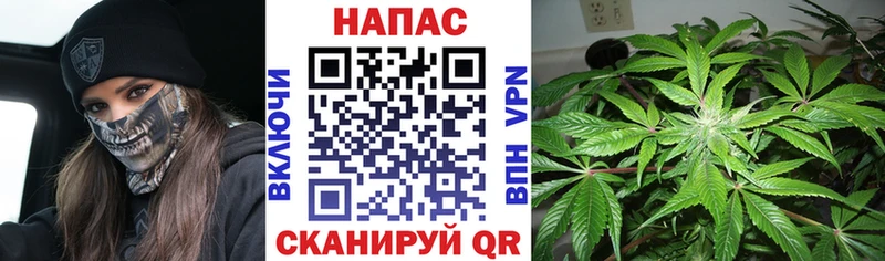Марихуана план  Руза 